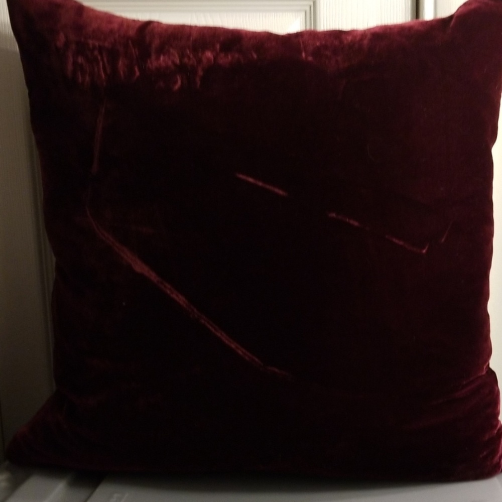 Beautiful Velvet Throw Pillow - Picture 2 of 2